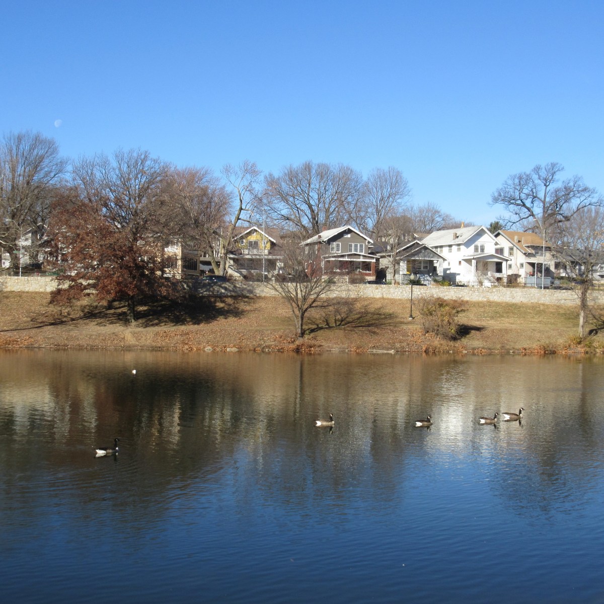 Mo’ Curious: The View from Beacon&nbsp;Hill